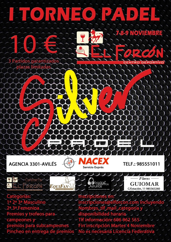torneo silver noviembre mail